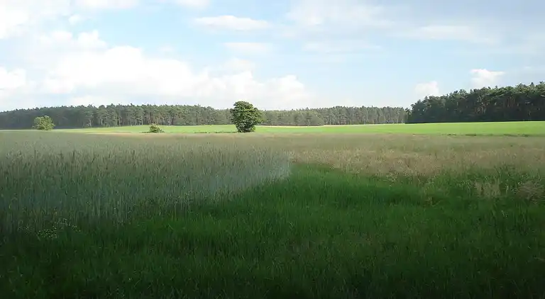 Lägenhet i Niewisch