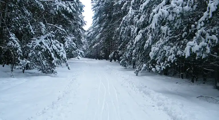 Lägenhet i Niewisch