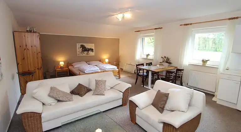 Apartment in Barenburg