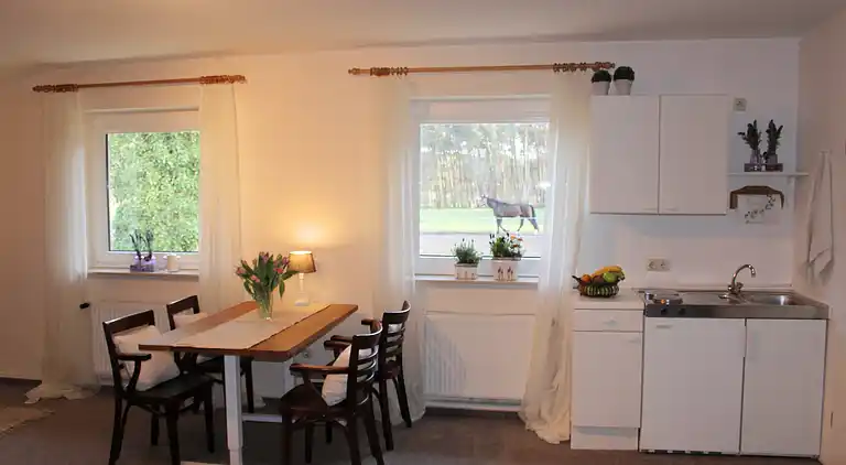 Apartment in Barenburg