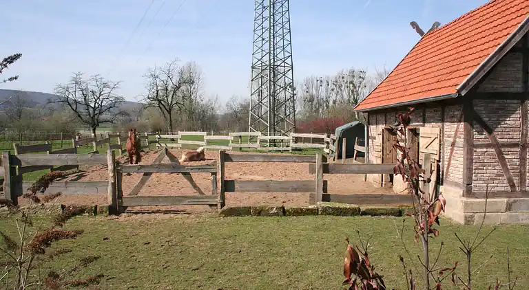 Sommerhus i Schaumburg