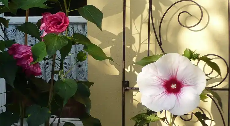 Apartment in Löwensen