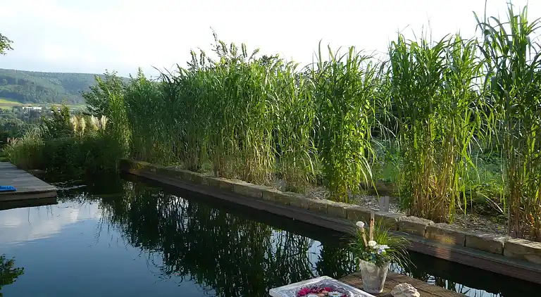 Apartment in Löwensen