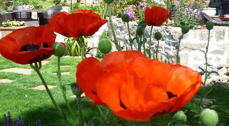 Apartment in Löwensen