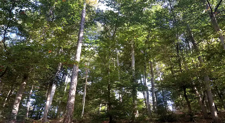 Ferielejlighed i Löwensen