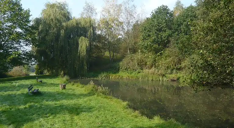 Apartment in Schwalenberg
