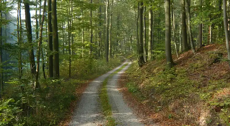 Sommerhus i Schwalenberg