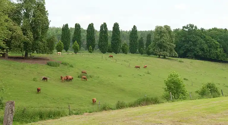 Holiday home in Landau
