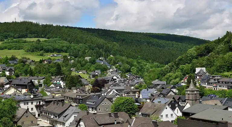 Apartment in Willingen (Upland)