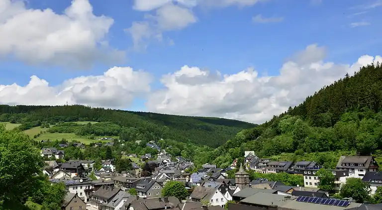 Apartment in Willingen (Upland)