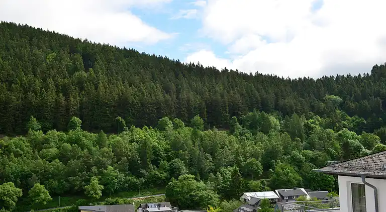 Ferielejlighed i Willingen (Upland)