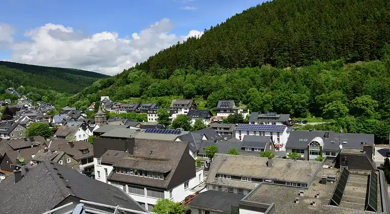 Ferielejlighed i Willingen (Upland)