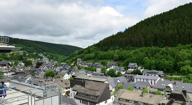 Apartment in Willingen (Upland)