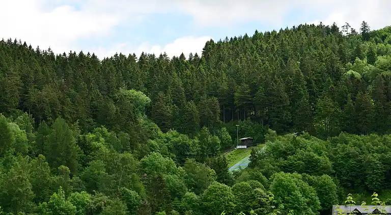 Apartment in Willingen (Upland)