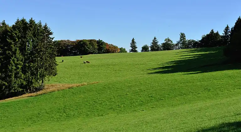 Ferielejlighed i Eimelrod