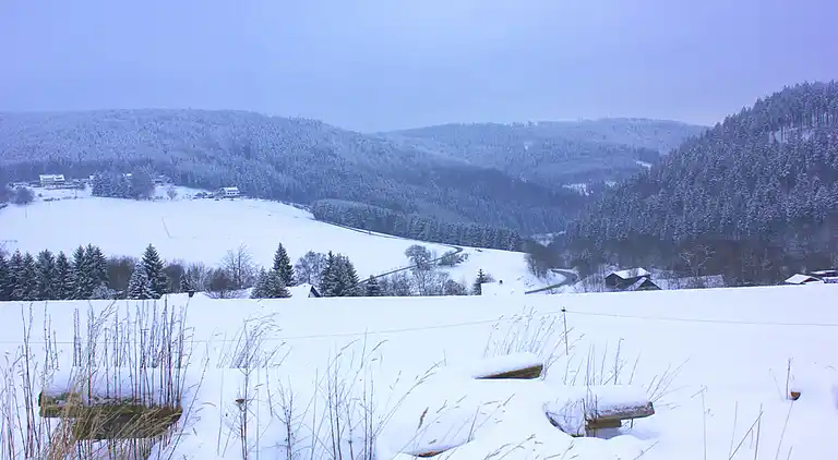 Sommerhus i Schwalefeld