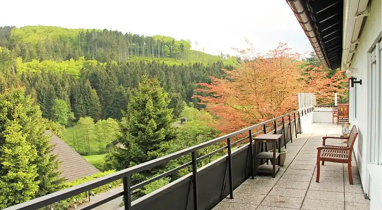 Holiday home in Willingen (Upland)