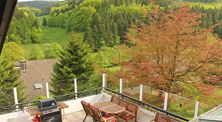 Holiday home in Willingen (Upland)