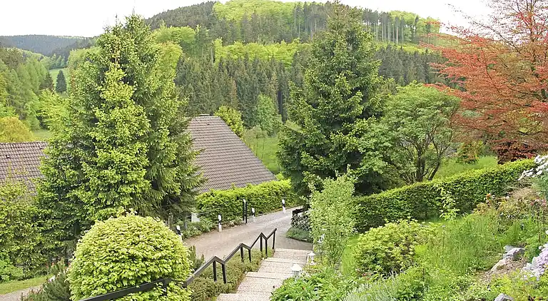 Holiday home in Willingen (Upland)