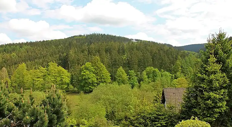 Holiday home in Willingen (Upland)