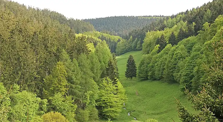 Holiday home in Willingen (Upland)