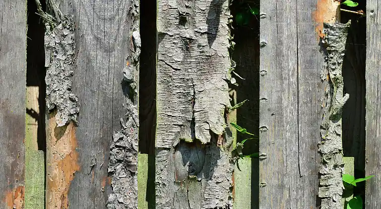 Ferienhaus in Stormbruch