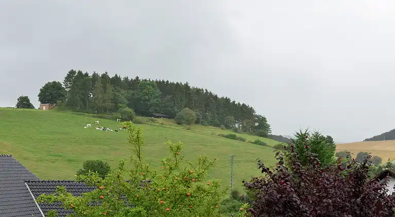 Apartment in Heringhausen