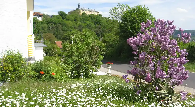 Ferielejlighed i Bad Wildungen