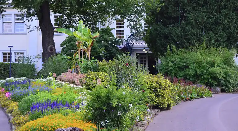 Ferielejlighed i Bad Wildungen