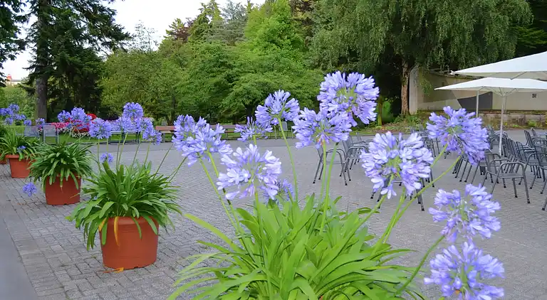 Ferielejlighed i Bad Wildungen