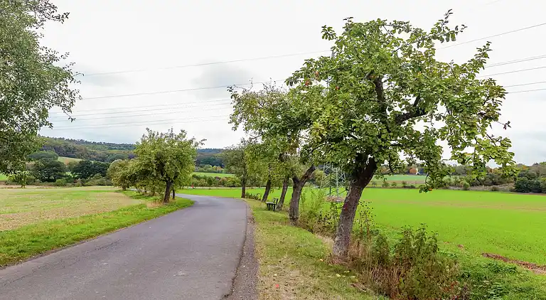 Holiday home in Wenzigerode
