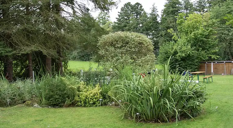 Ferielejlighed i Neukirchen