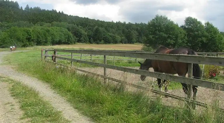 Apartment in Battenberg