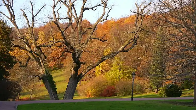 Ferielejlighed i Schweina