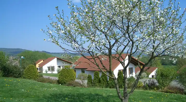 Sommerhus i Eschershausen
