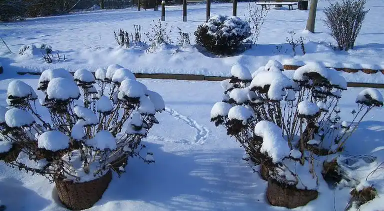 Sommerhus i Eschershausen