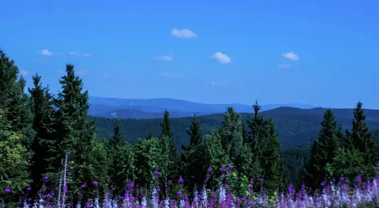 Ferielejlighed i Kolonie Tettenborn