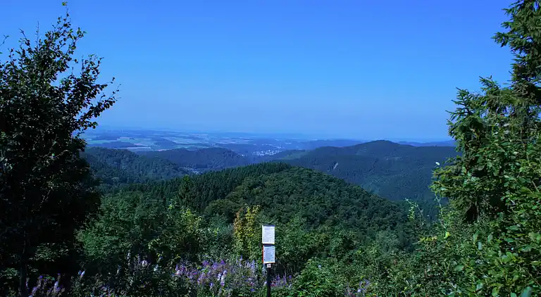 Ferielejlighed i Kolonie Tettenborn