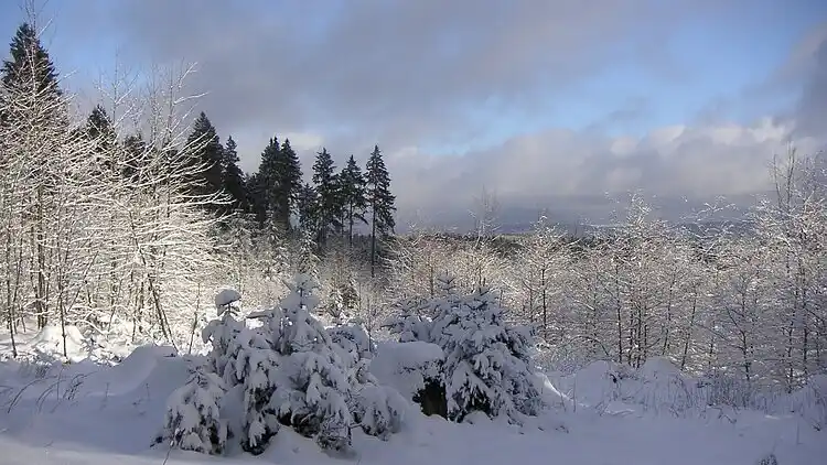 Sommerhus i Clausthal-Zellerfeld