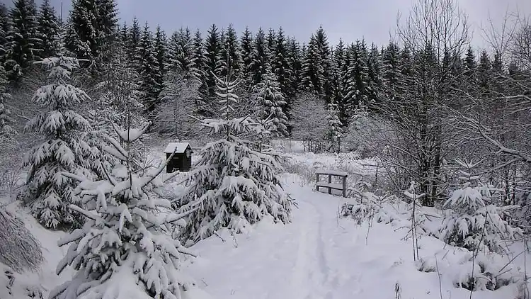 Sommerhus i Clausthal-Zellerfeld