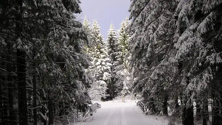 Sommerhus i Clausthal-Zellerfeld