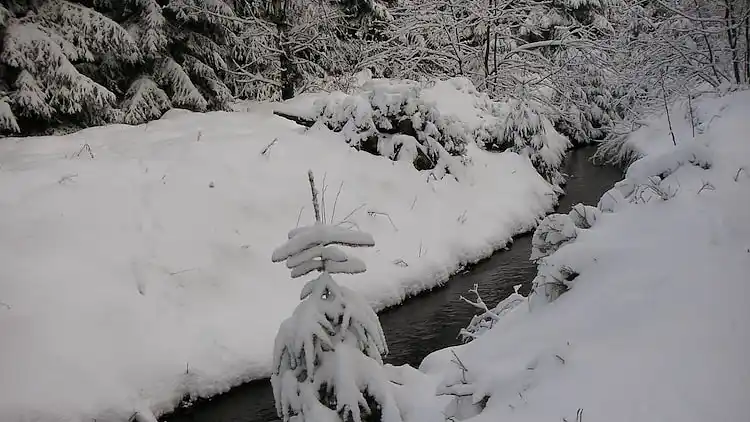 Sommerhus i Clausthal-Zellerfeld