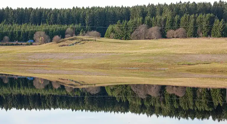 Apartment in Wildemann