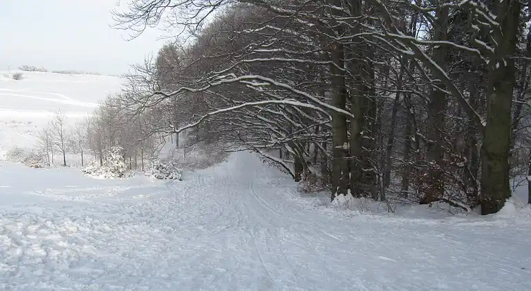 Sommerhus i Heimburg