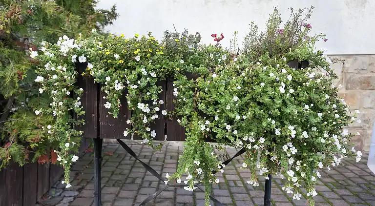 Apartment in Altenbrak