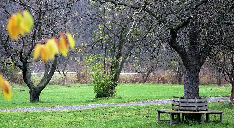 Apartment in Altenbrak