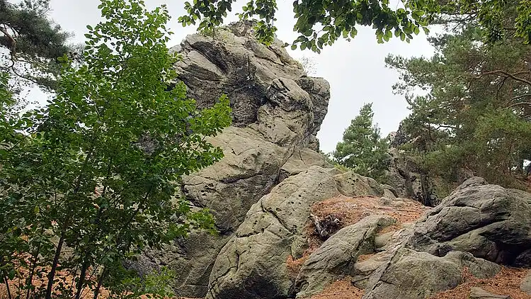 Apartment in Altenbrak