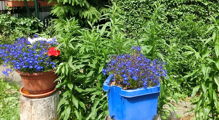 Sommerhus i Heimburg