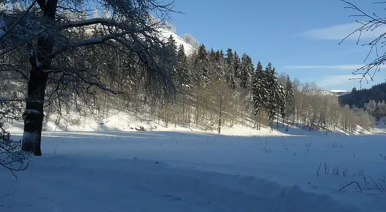 Ferielejlighed i Hahnenkopf