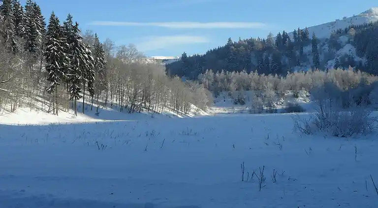 Ferielejlighed i Hahnenkopf